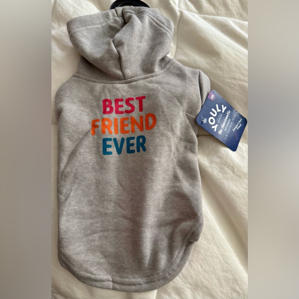 Gray 'Best Friend Ever' dog Hoodie